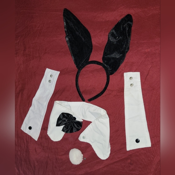 🐰Club Bunny 🐇 costume - Picture 9 of 11